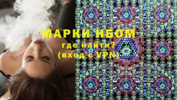 дурь Бородино
