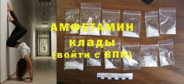 дурь Бородино