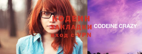 дурь Бородино