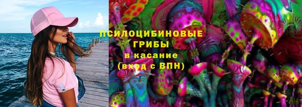 дурь Бородино