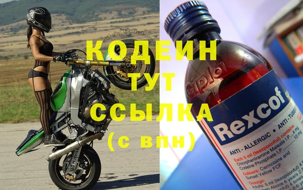 эйфоретик Гусь-Хрустальный