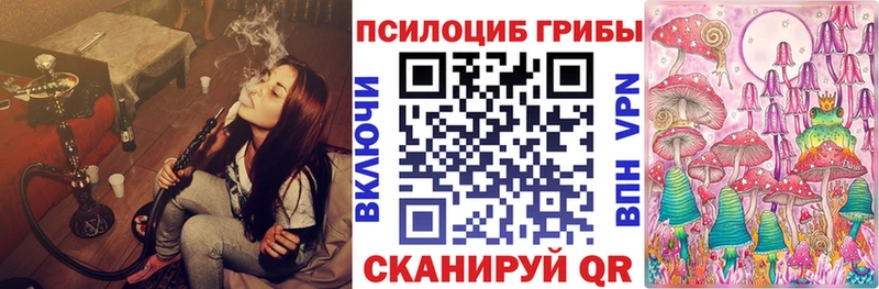 hydra ТОР  Пермь  Псилоцибиновые грибы Psilocybe 